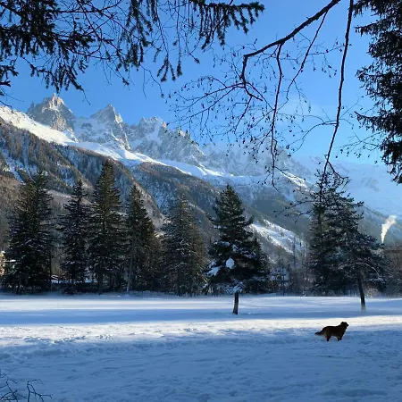 Maya, La Praz, Mont Blanc 霞慕尼