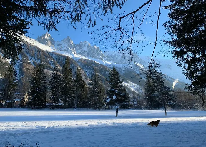 Maya, La Praz, Mont Blanc Chamonix