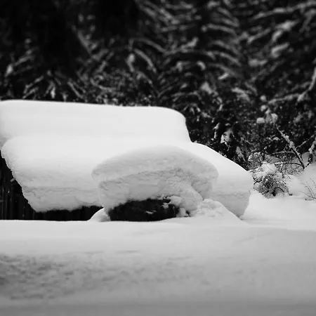 Apartament Maya, La Praz, Mont Blanc Chamonix